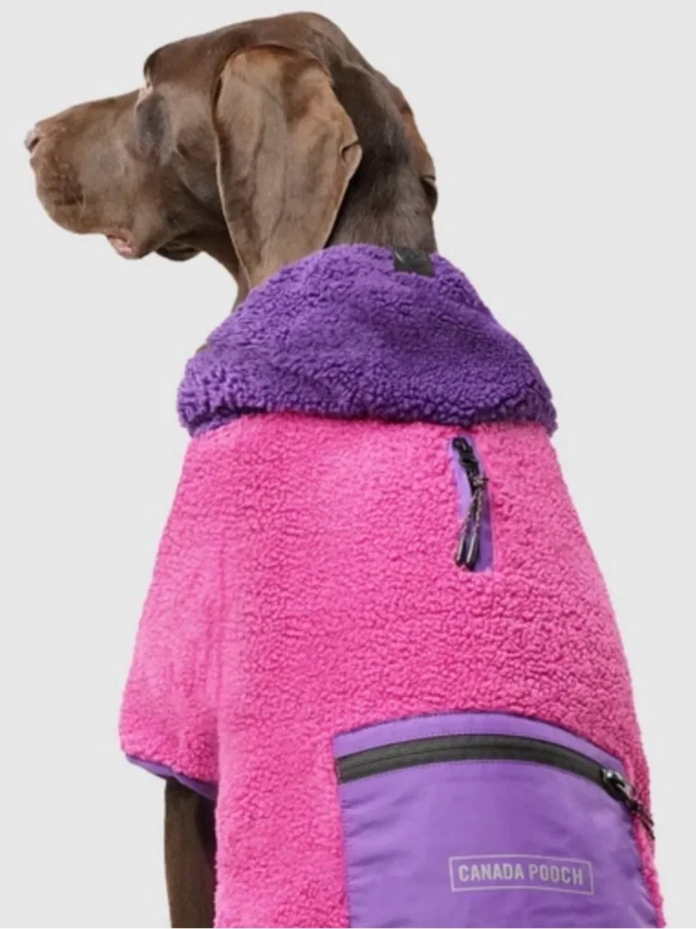 Canada Pooch Cool Factor Fleece Dog Hoodie in Pink & Purple - NWT Size 28